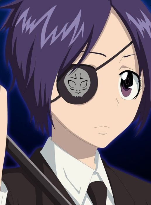 Mamoru Aikawa (Anime)