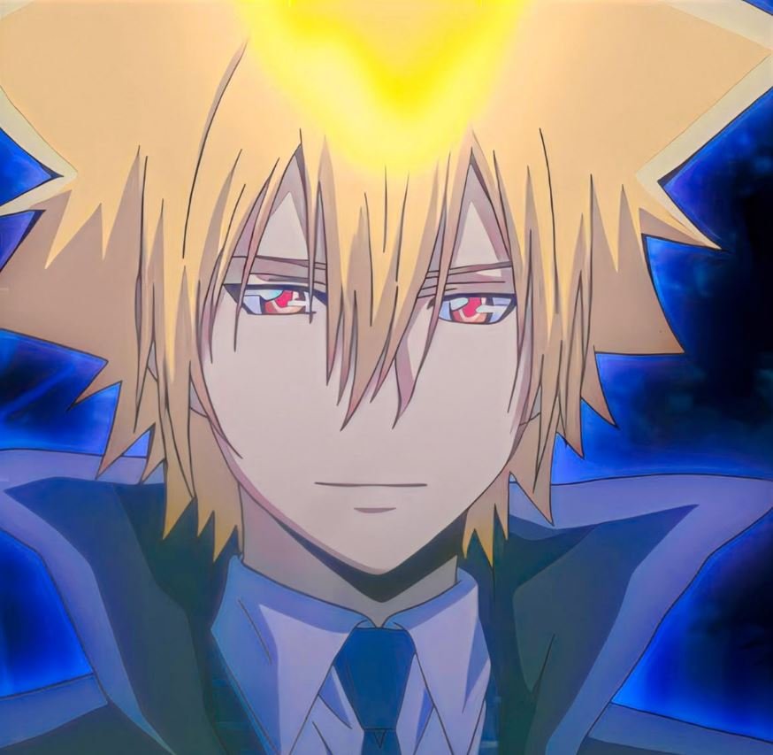 Mamoru Aikawa (Anime)