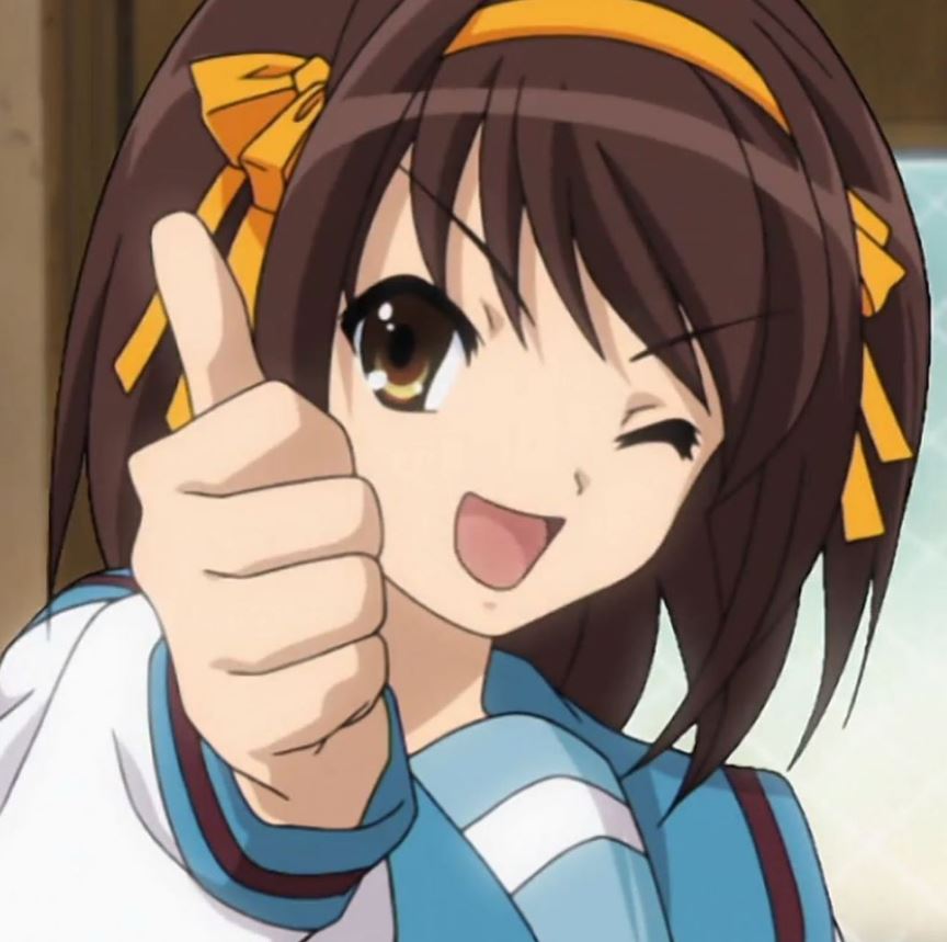 Mamoru Aikawa (Anime)