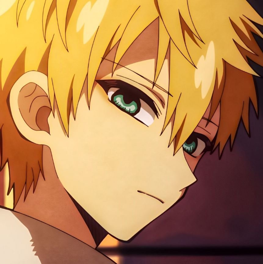 Mamoru Aikawa (Anime)