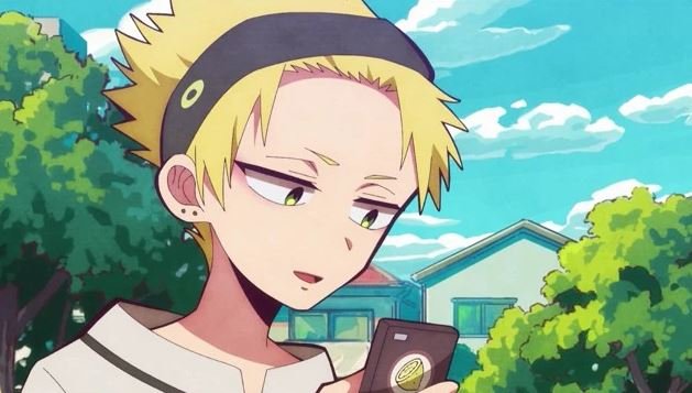 Mamoru Aikawa (Anime)