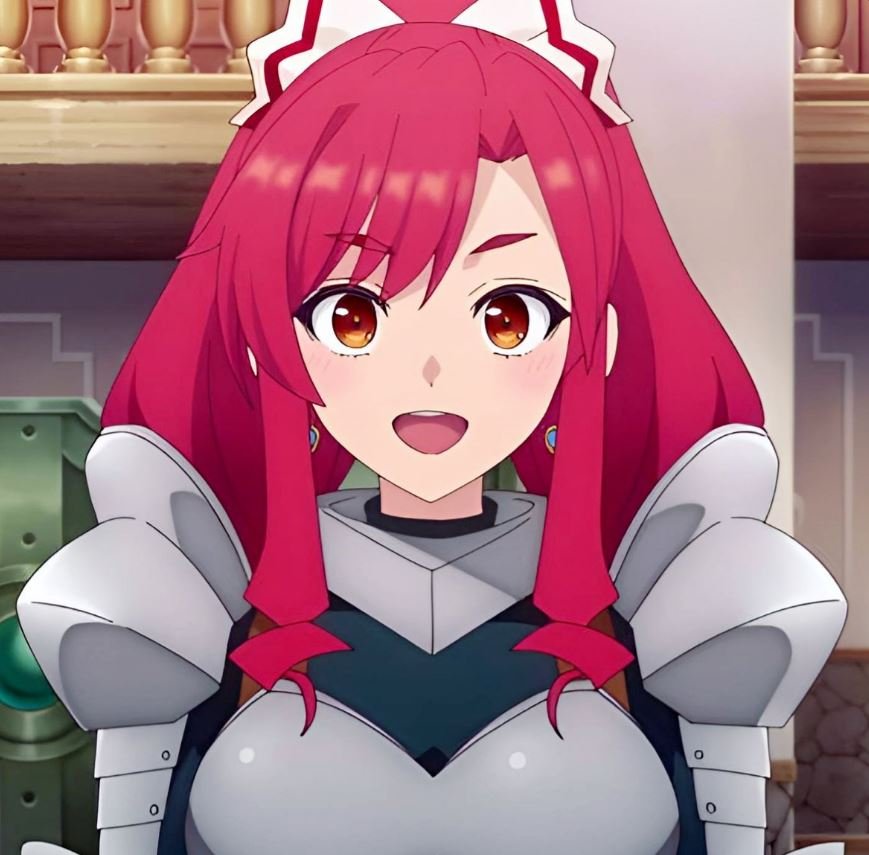 Mamoru Aikawa (Anime)