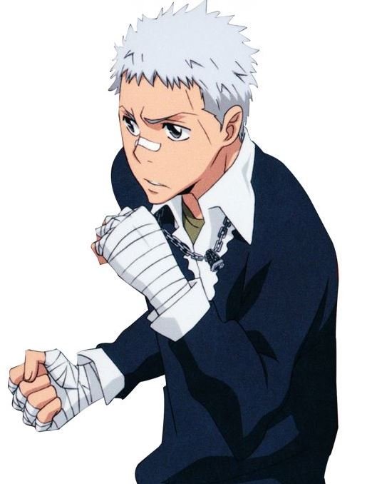 Mamoru Aikawa (Anime)