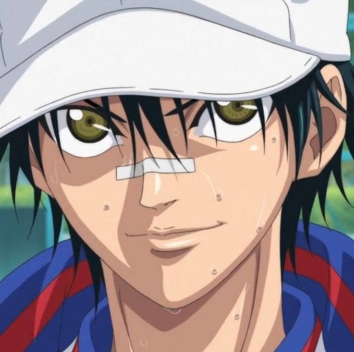 Mamoru Aikawa (Anime)