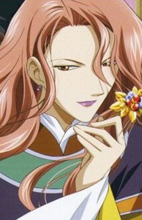 Mamoru Aikawa (Anime)