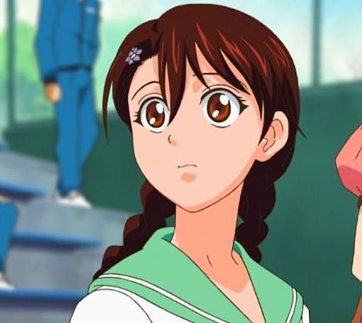 Mamoru Aikawa (Anime)