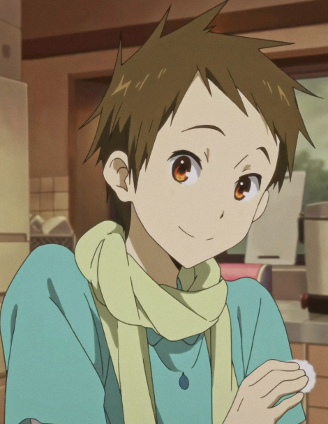 Mamoru Aikawa (Anime)
