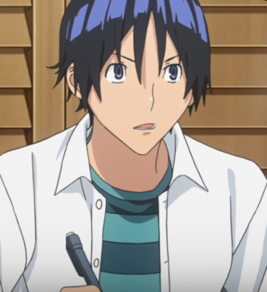 Mamoru Aikawa (Anime)