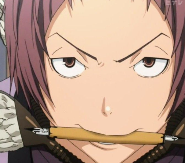 Mamoru Aikawa (Anime)