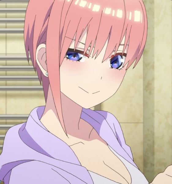 Mamoru Aikawa (Anime)