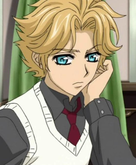 Mamoru Aikawa (Anime)