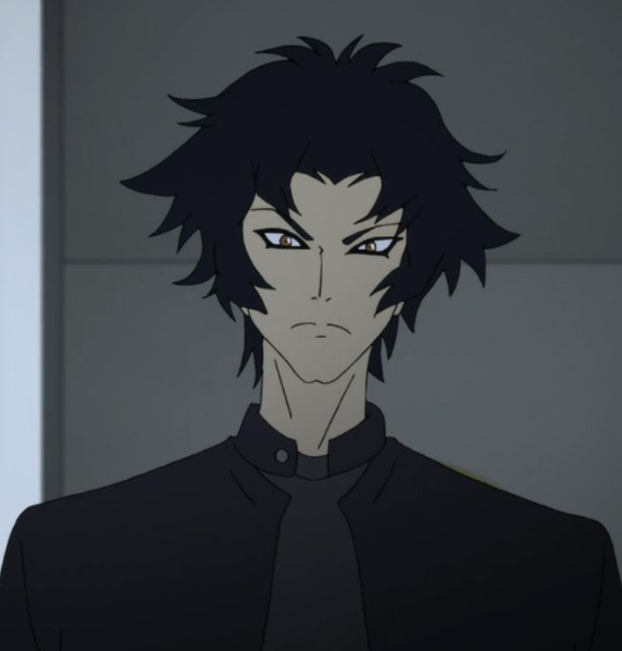 Mamoru Aikawa (Anime)