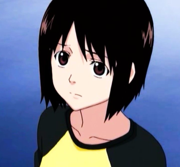 Mamoru Aikawa (Anime)