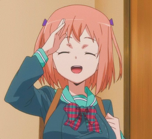 Mamoru Aikawa (Anime)