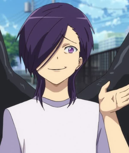 Mamoru Aikawa (Anime)