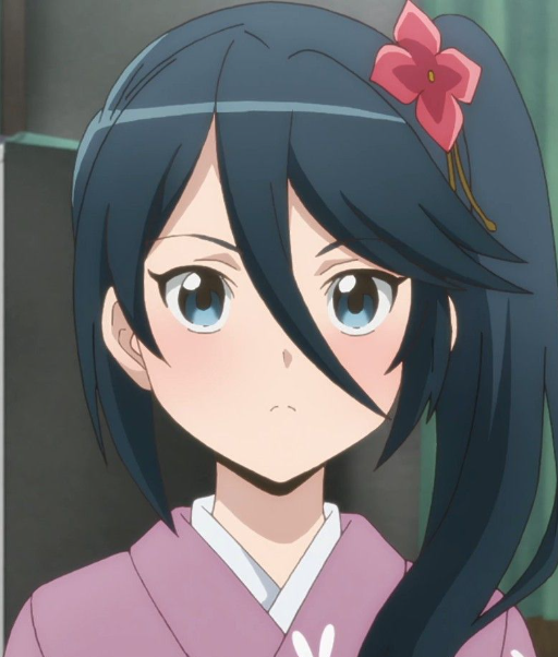 Mamoru Aikawa (Anime)