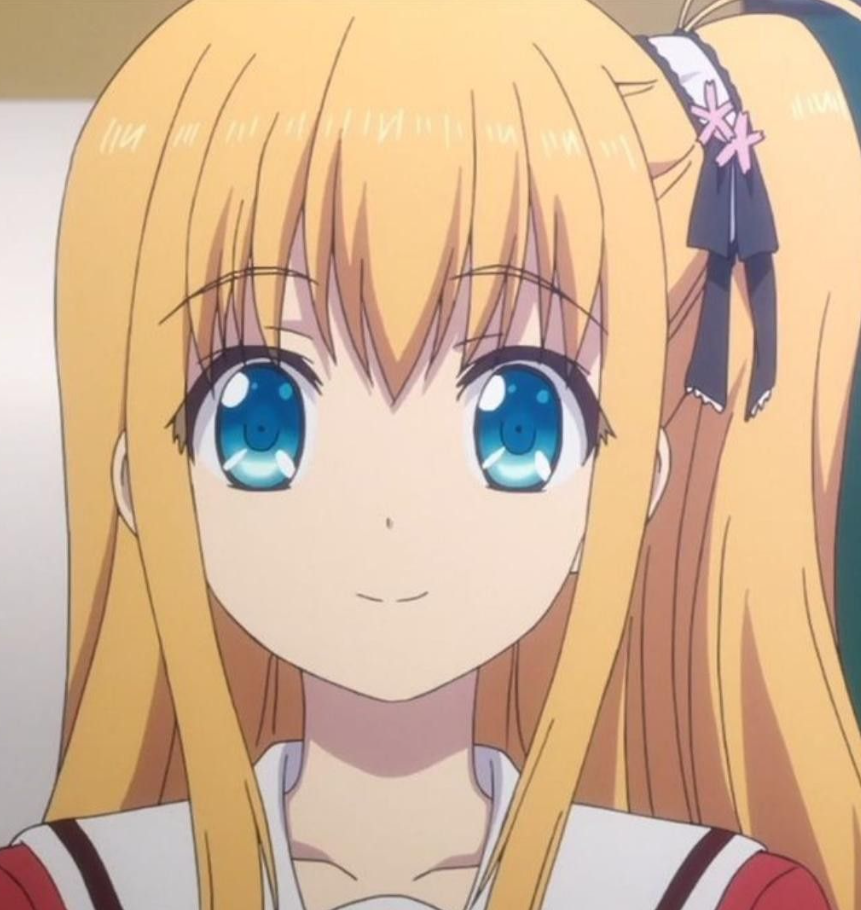 Mamoru Aikawa (Anime)