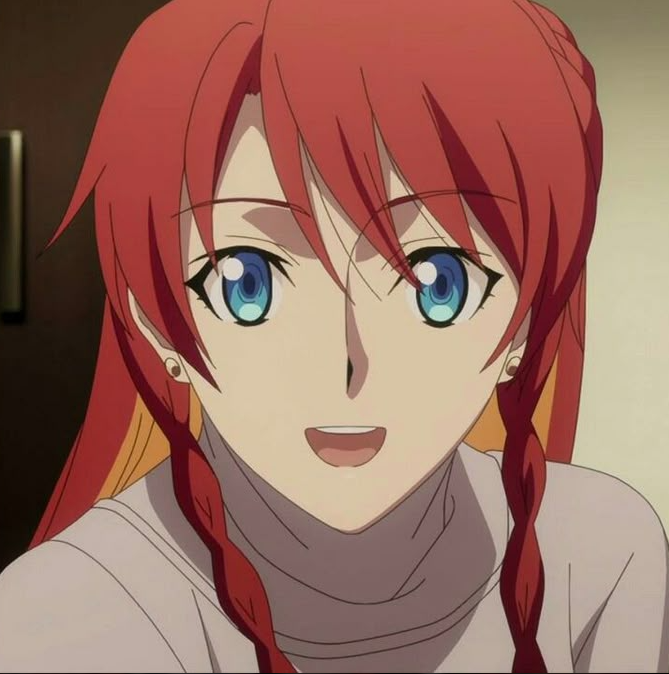 Mamoru Aikawa (Anime)