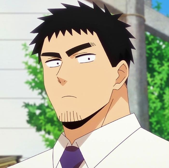 Mamoru Aikawa (Anime)