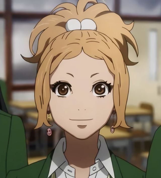 Mamoru Aikawa (Anime)