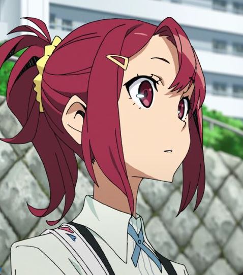 Mamoru Aikawa (Anime)