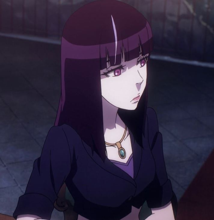 Mamoru Aikawa (Anime)