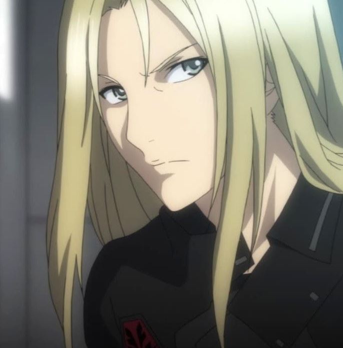 Mamoru Aikawa (Anime)