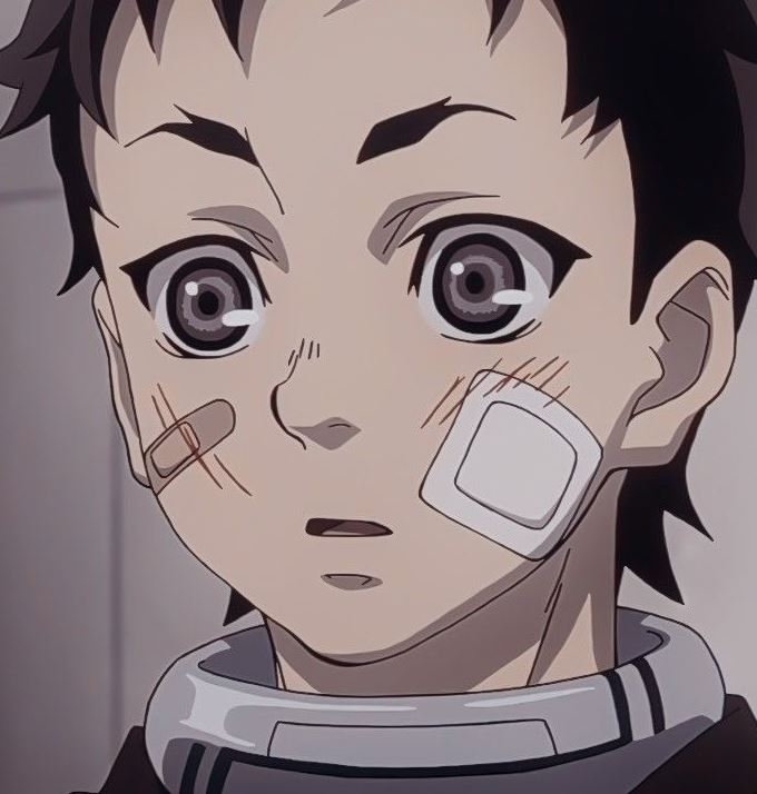 Mamoru Aikawa (Anime)