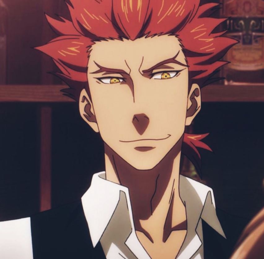 Mamoru Aikawa (Anime)