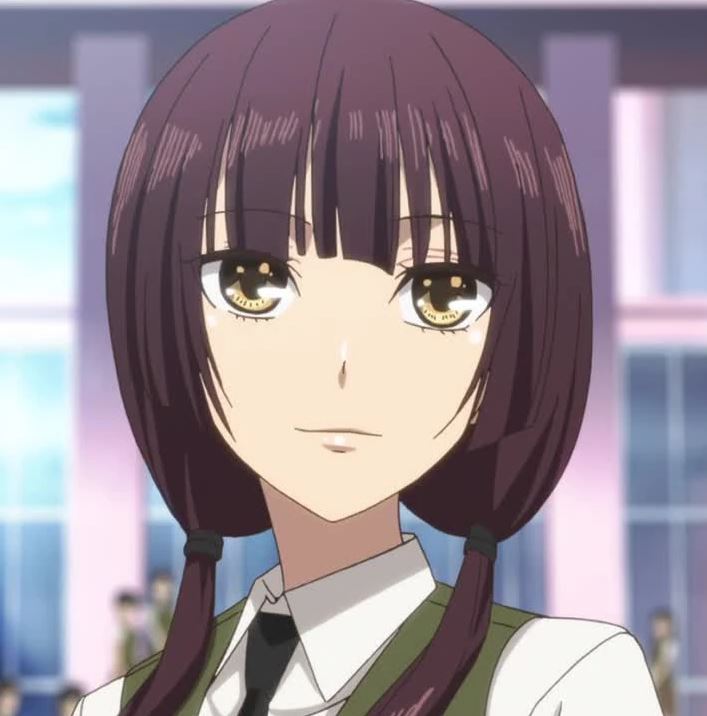 Mamoru Aikawa (Anime)