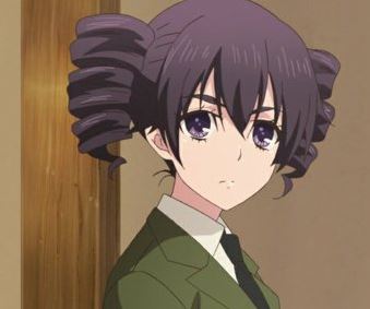 Mamoru Aikawa (Anime)