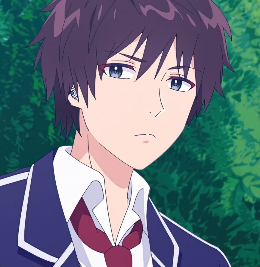 Mamoru Aikawa (Anime)