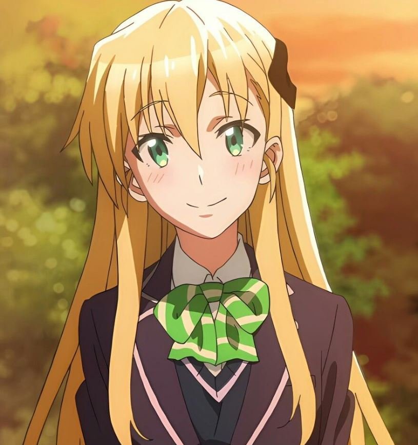 Mamoru Aikawa (Anime)