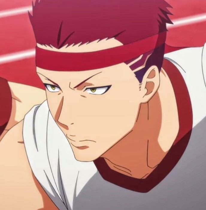 Mamoru Aikawa (Anime)