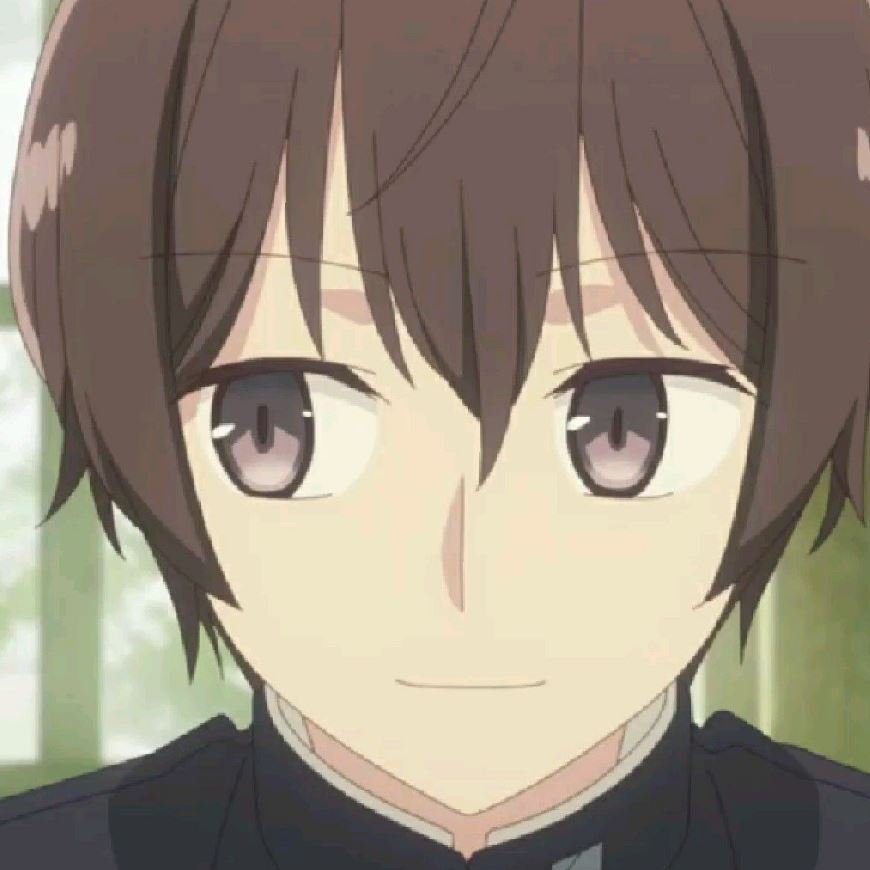 Mamoru Aikawa (Anime)
