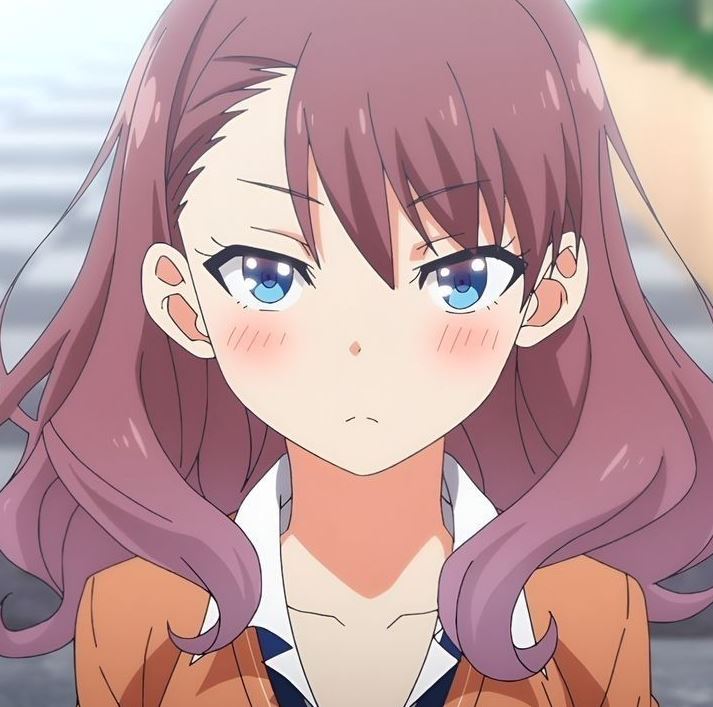 Mamoru Aikawa (Anime)