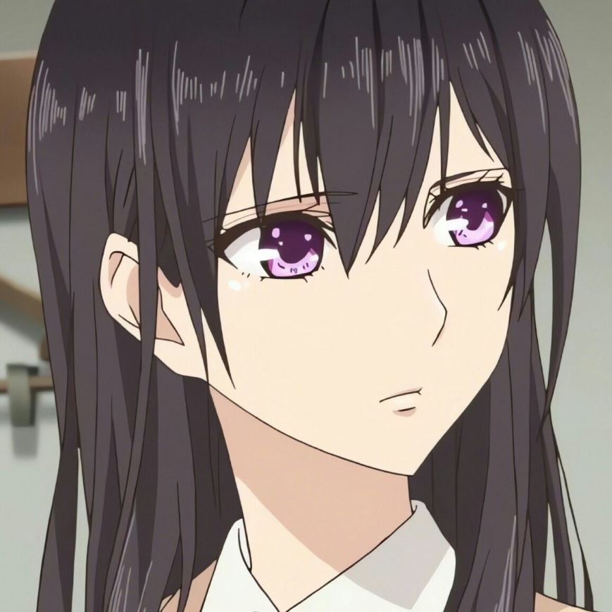 Mamoru Aikawa (Anime)