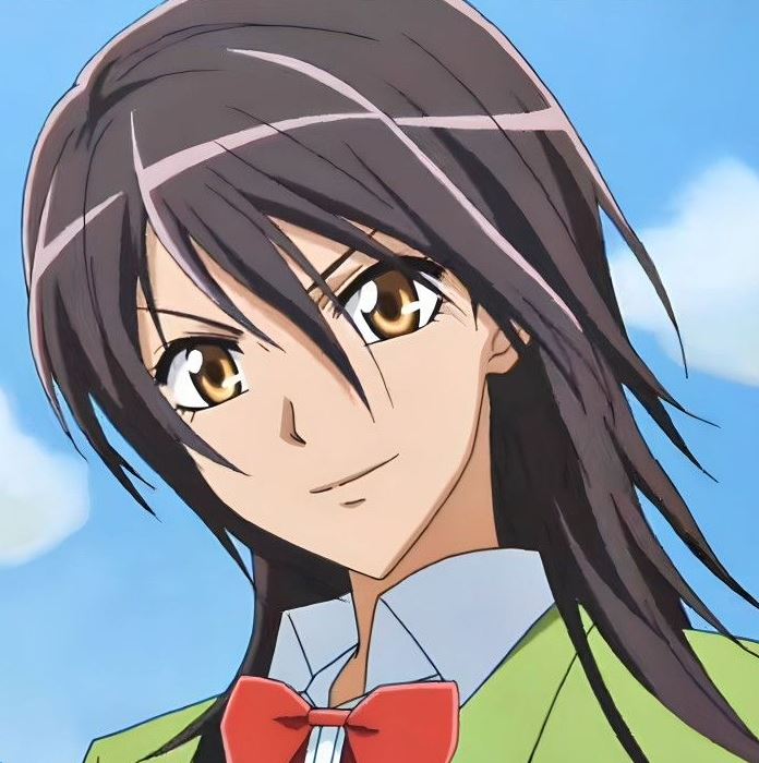 Mamoru Aikawa (Anime)