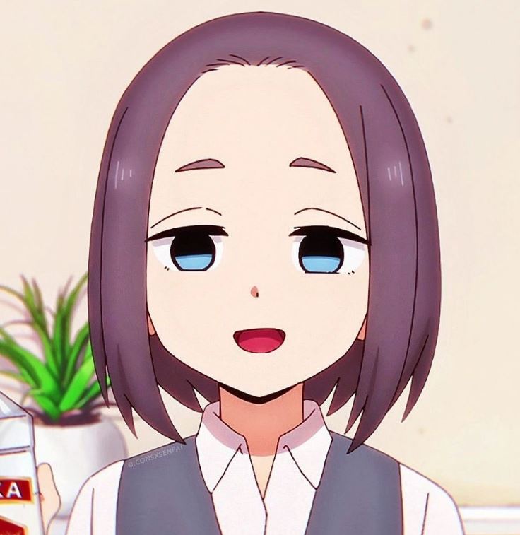 Mamoru Aikawa (Anime)