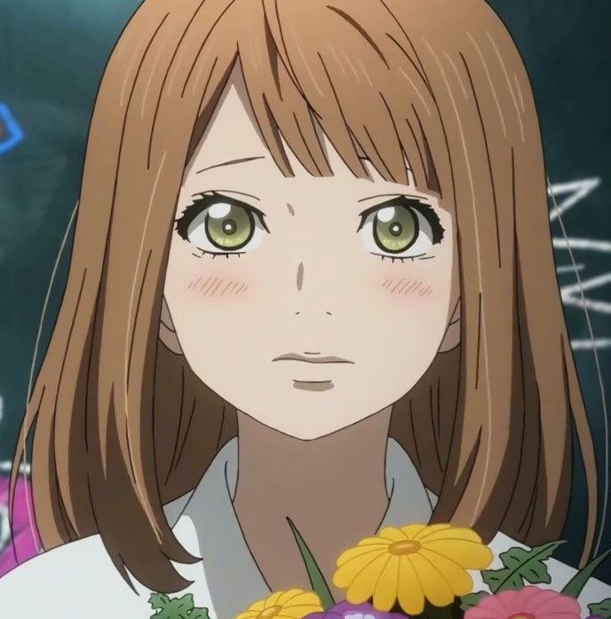 Mamoru Aikawa (Anime)