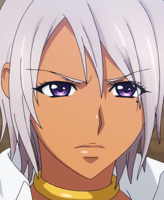 Mamoru Aikawa (Anime)