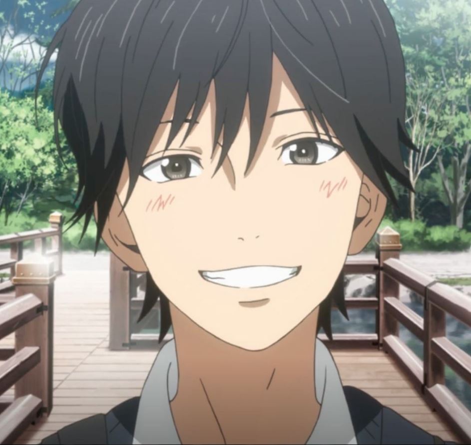 Mamoru Aikawa (Anime)