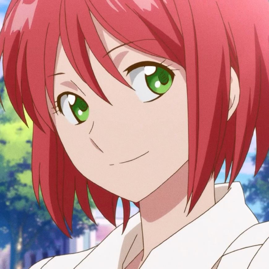 Mamoru Aikawa (Anime)