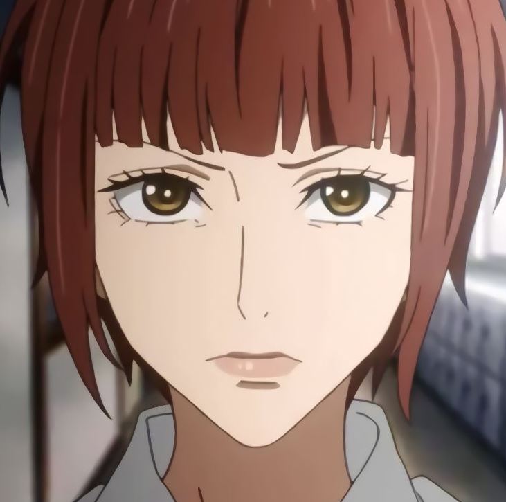 Mamoru Aikawa (Anime)