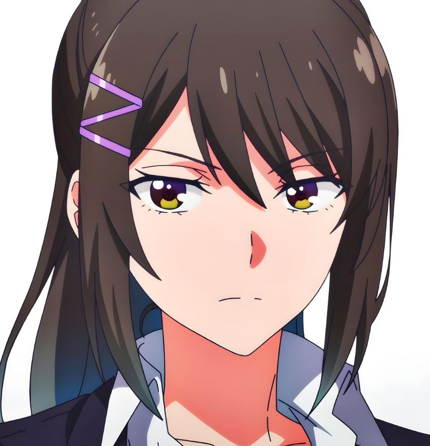 Mamoru Aikawa (Anime)