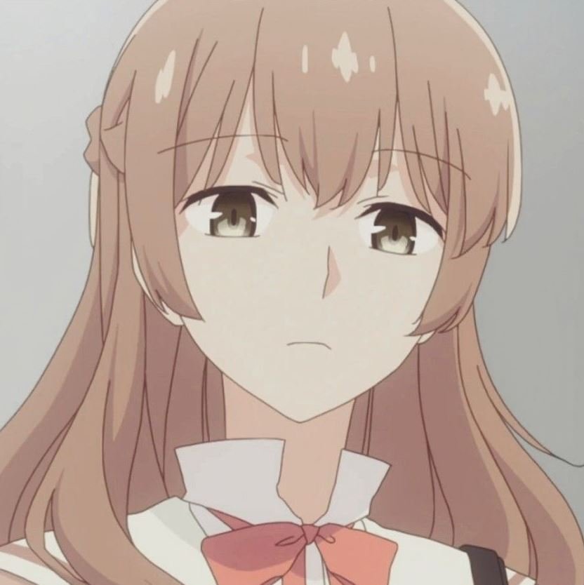 Mamoru Aikawa (Anime)
