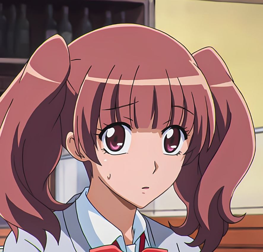 Mamoru Aikawa (Anime)