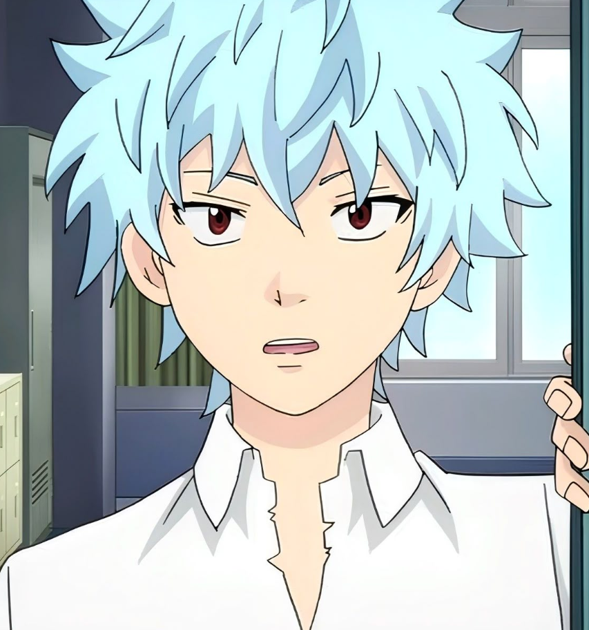 Mamoru Aikawa (Anime)