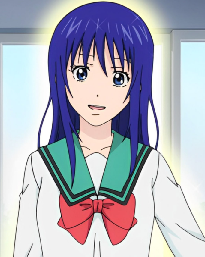 Mamoru Aikawa (Anime)