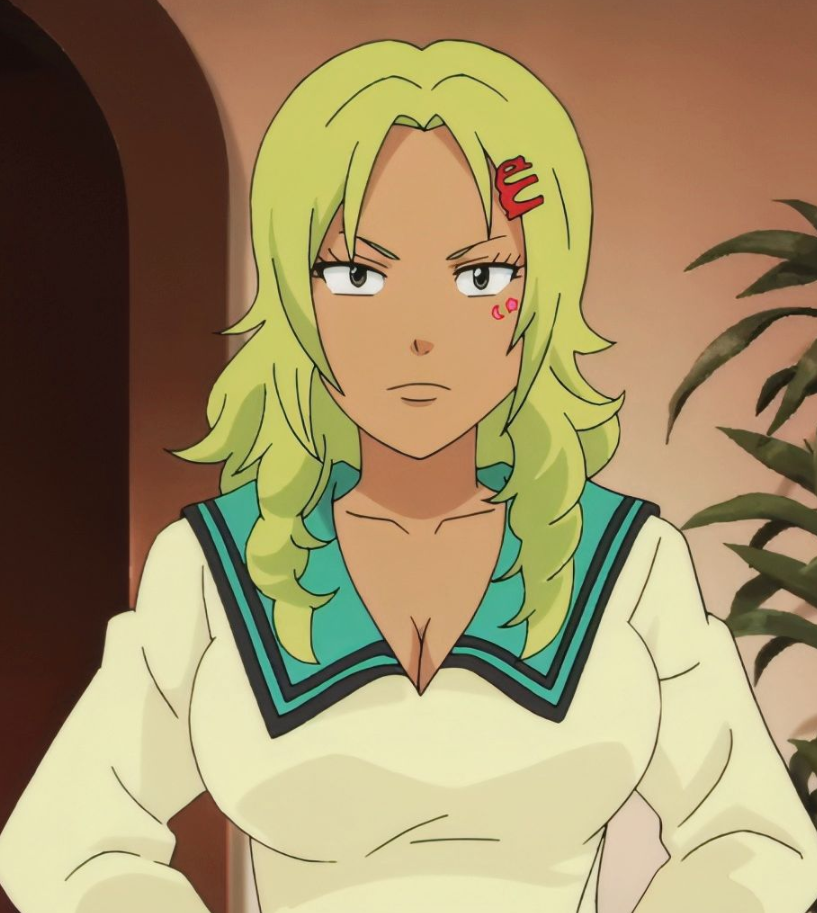 Mamoru Aikawa (Anime)